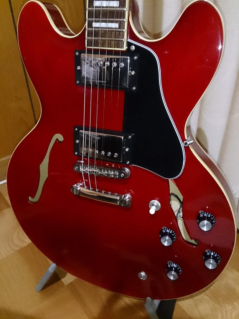 【ハードケース付属】 Burny SRSA65 ES-335タイプ