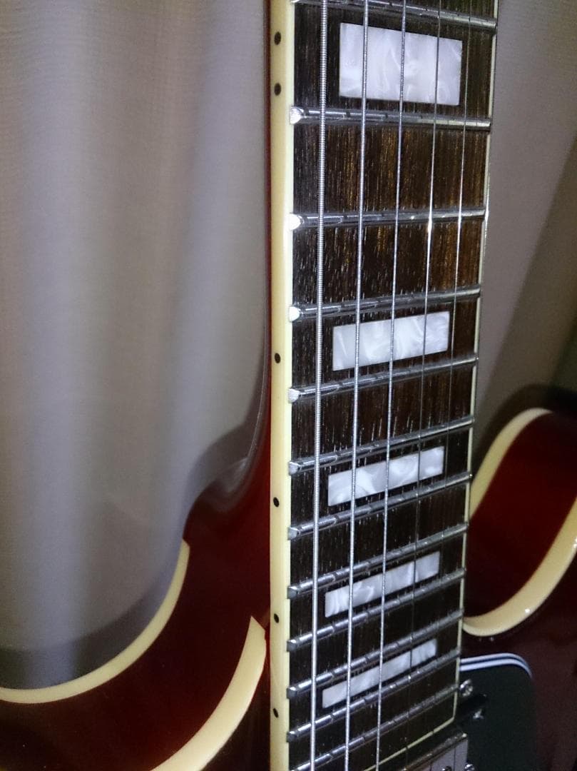 【ハードケース付属】 Burny SRSA65 ES-335タイプ