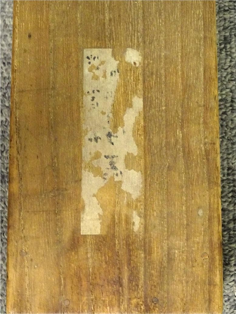 掛軸 観雪『秋景山水図』絹本 肉筆 無地箱付 掛け軸 p10302