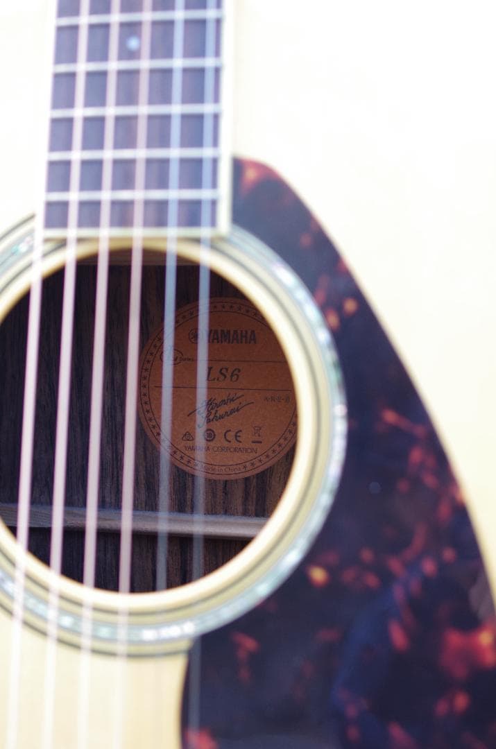 Morris(モーリス) アコースティックギター S-40 (ソロギター) morris s