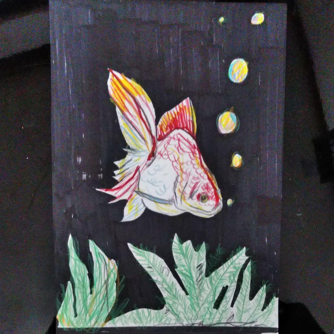 金魚　イラスト　絵画