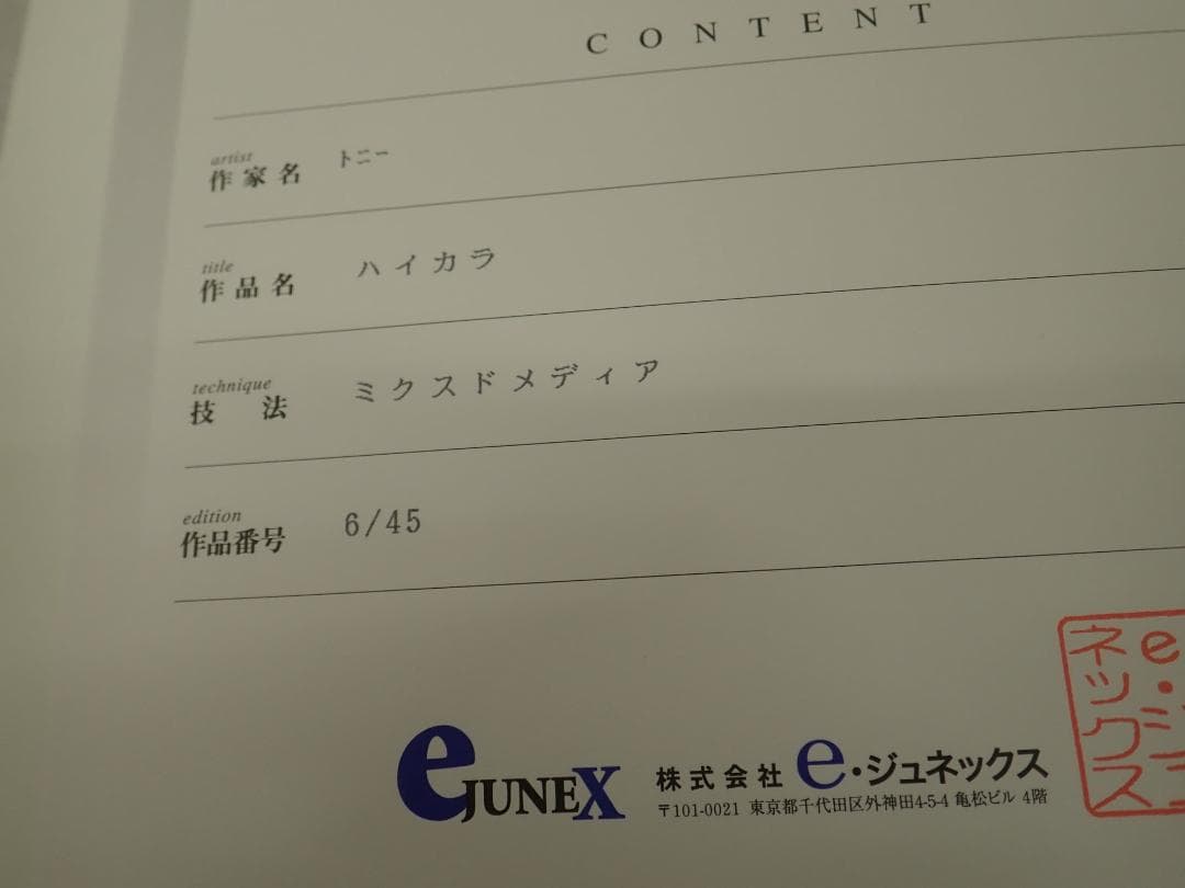 ㉔新品・保証書付 Tony トニー「ハイカラ」ミクスドメディア アールビバン