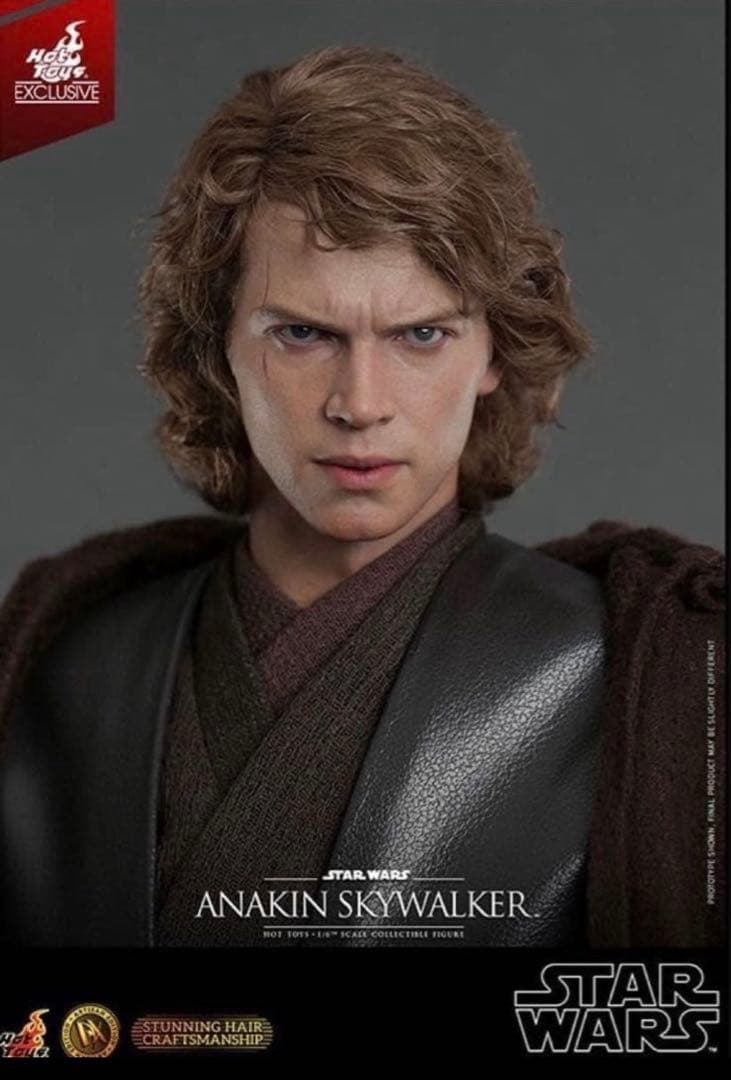 【未開封】ホットトイズ アナキン・スカイウォーカー 【DX アルチザン】