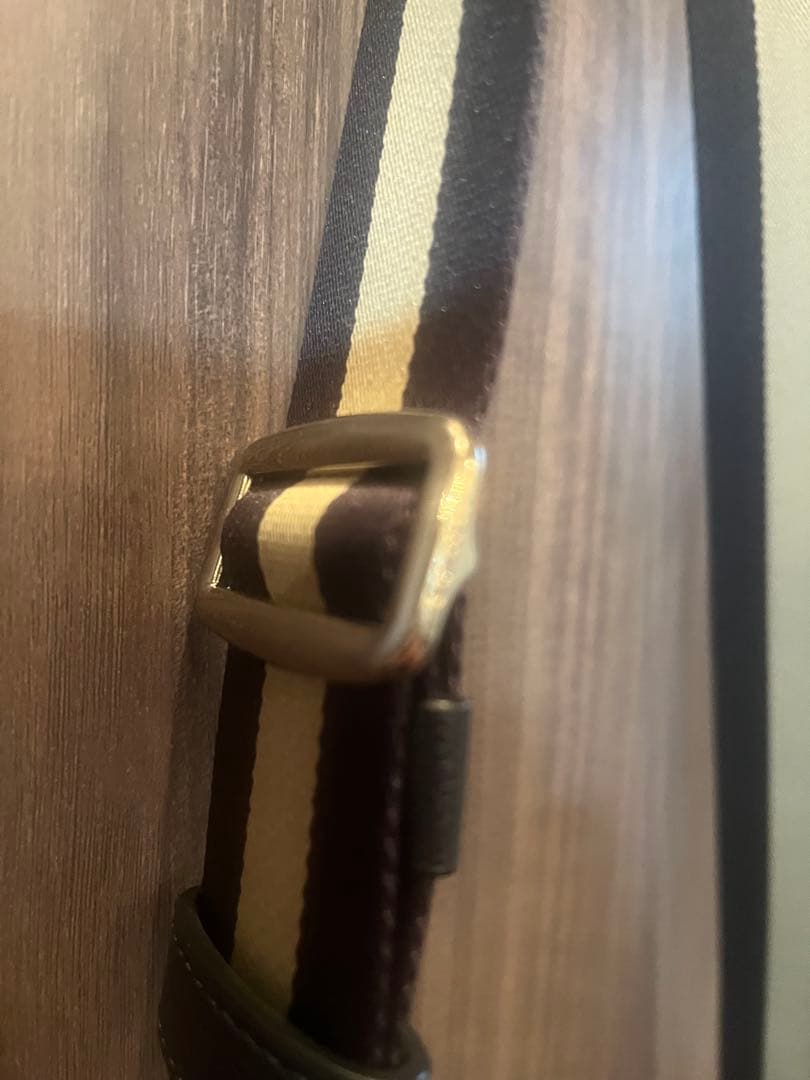 COACH チャールズ スモール メッセンジャー ショルダー バッグ レザー