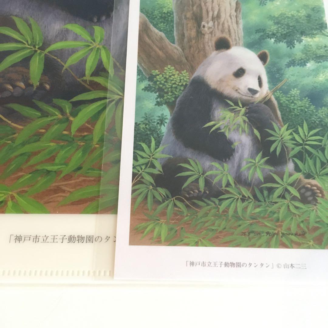 王子動物園タンタン⭐︎クリアファイル2種セット《ポストカード付き