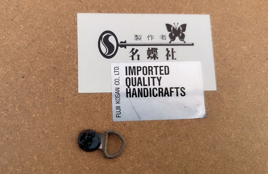 ドキソコパ・セラフィナ蝶の標本