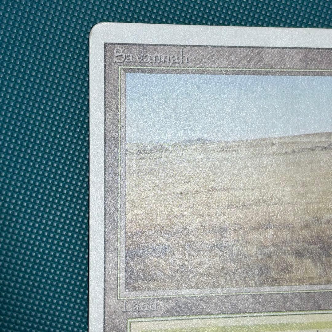 英語《Savannah》[3ED] リバイズド