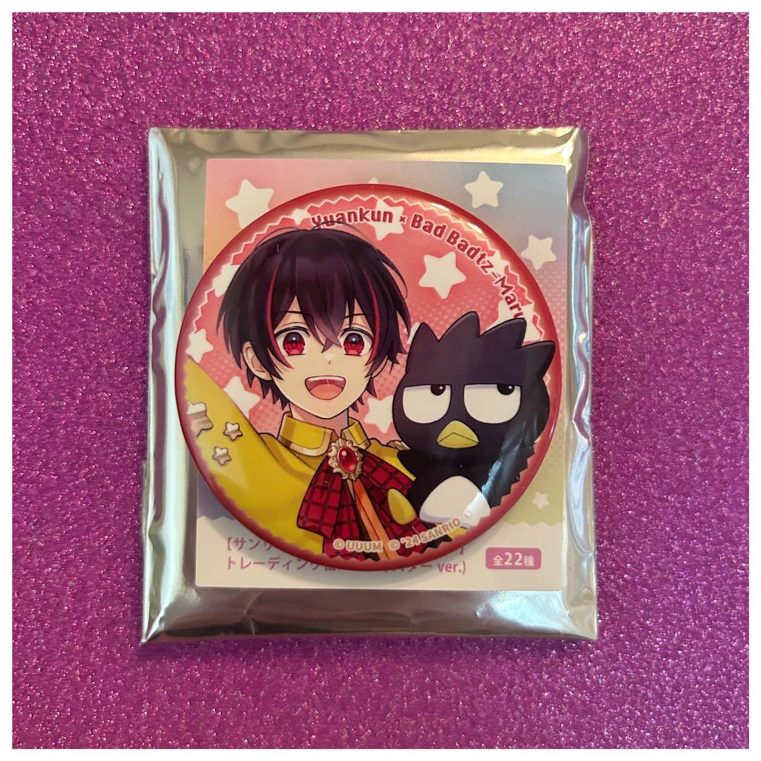 めぐみん様ゆあんくんパラぴち缶バッジ11個サンリオコラボカードケース