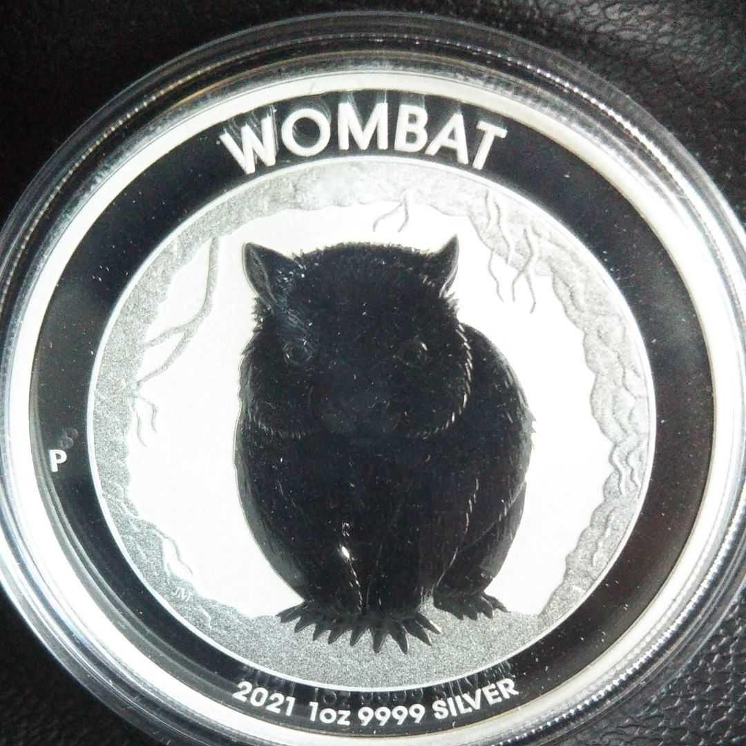 2022年 フィジー 猫シリーズ カラー版 庭で遊ぶ猫 1オンス銀貨 純銀