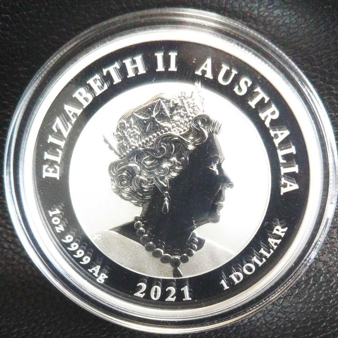 2022年 フィジー 猫シリーズ カラー版 庭で遊ぶ猫 1オンス銀貨 純銀