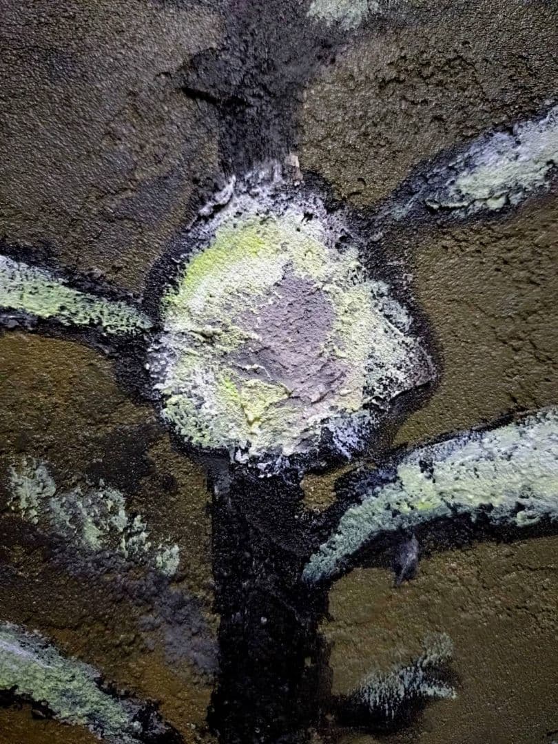 F10号】香月泰男【花】手描き作品/表裏サイン有/油彩/油絵/岩彩/額縁