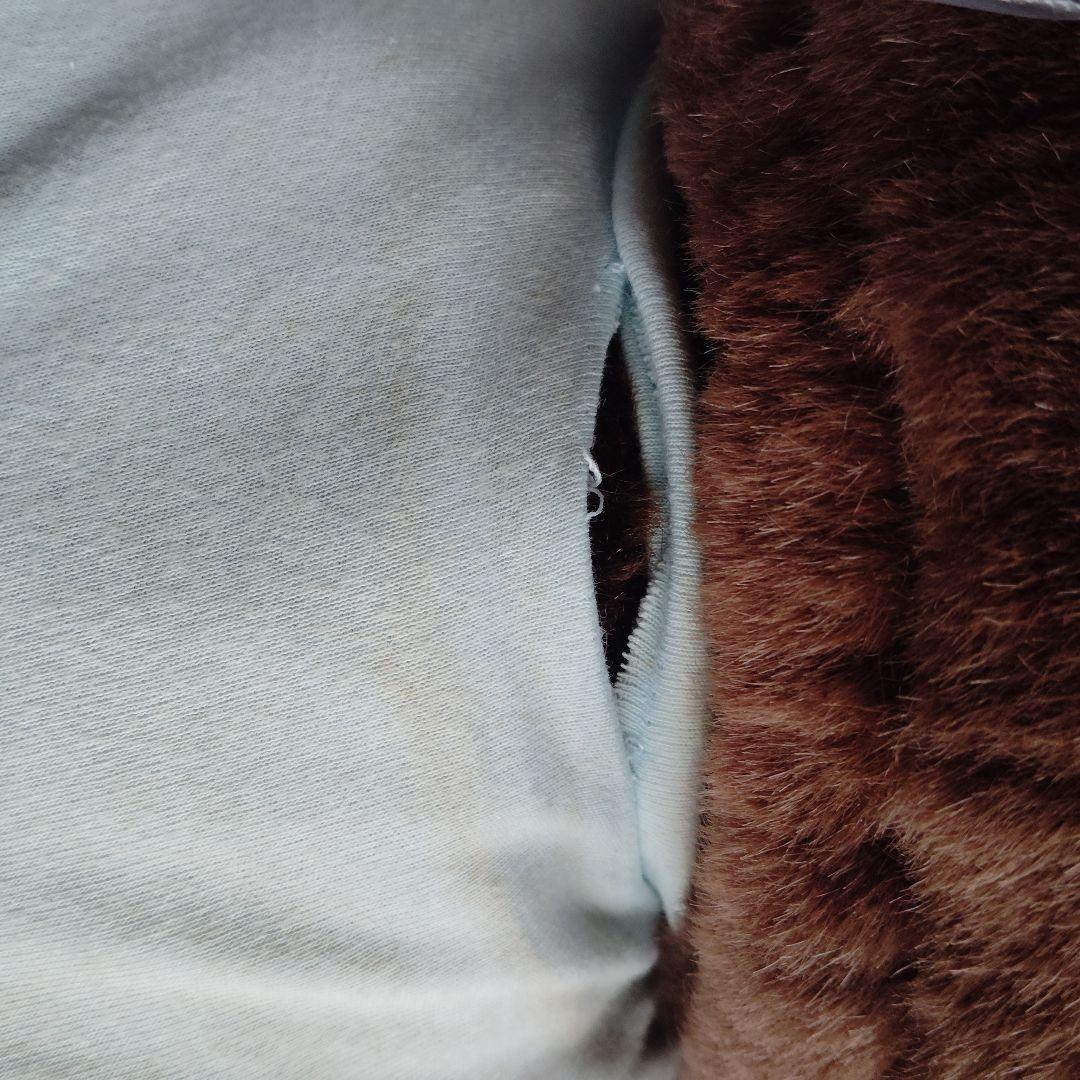 もんちっち ぬいぐるみ セキグチ 約50cm