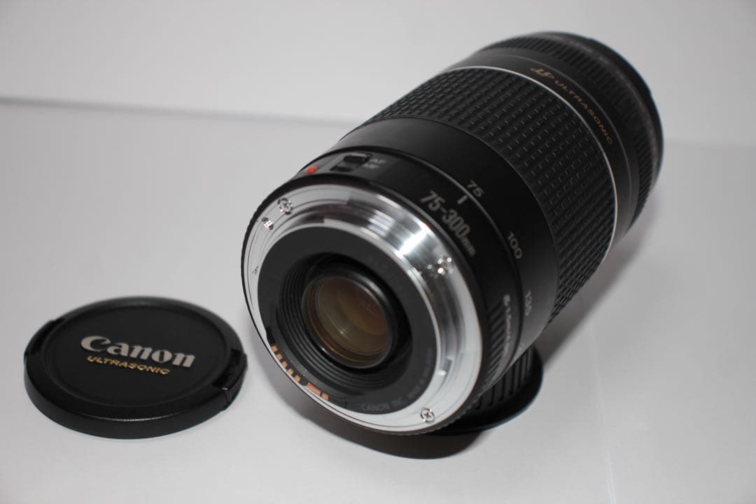 超望遠レンズ/スポーツ観戦や旅行/Canon EF75-300㎜I USM