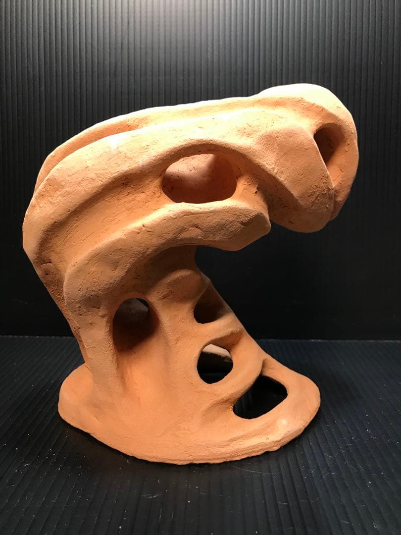 アク抜き済み流木【339】 天然流木のアク抜き 60g: ペット