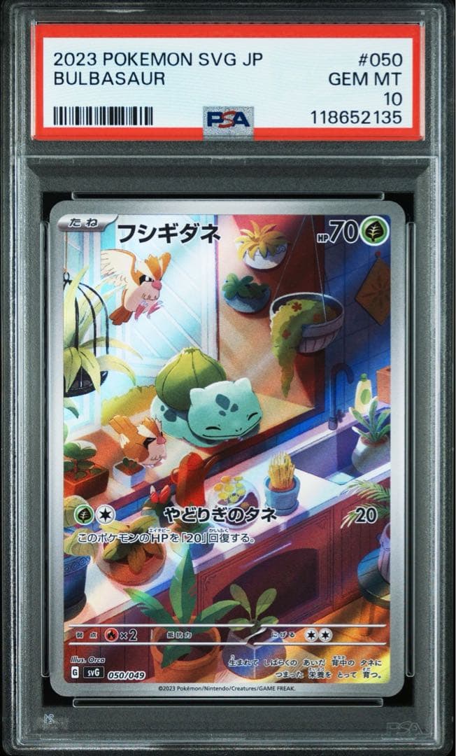 連番！ポケモンカード スペシャルデッキセットEX 御三家 AR P