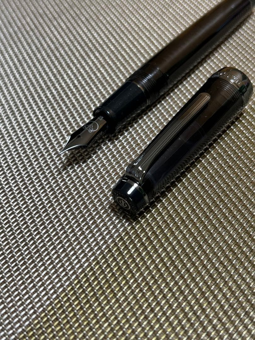 <新品未使用> セーラー　プロギア　イオン限定　ブラックパンダ　万年筆 2025年最新】セーラープロギアの人気アイテム - メルカリ <新品未使用