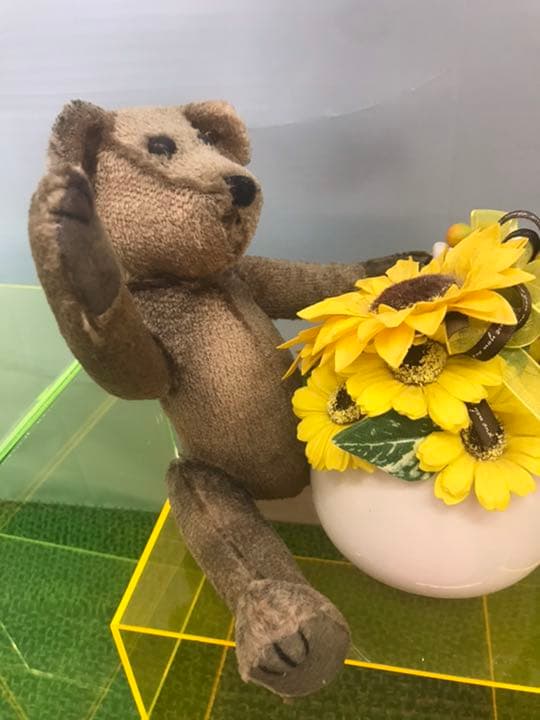 希少な年代物のアンティークテディベア steiff社