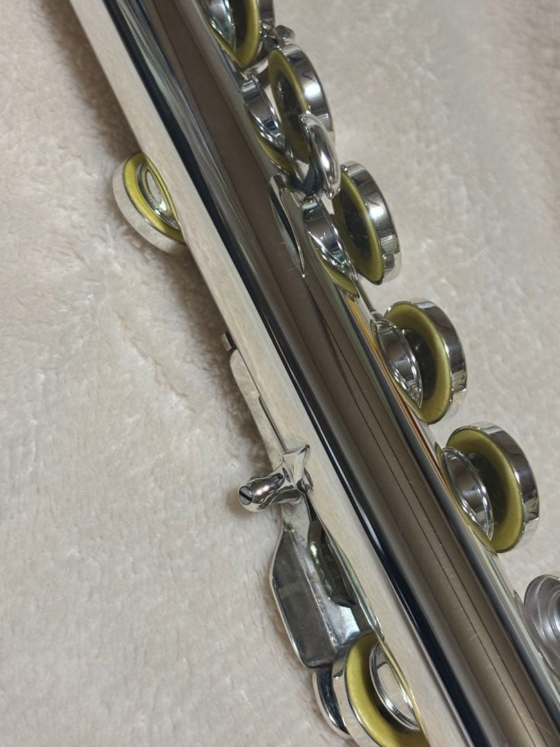 イーストマン　フルート EFL210SE