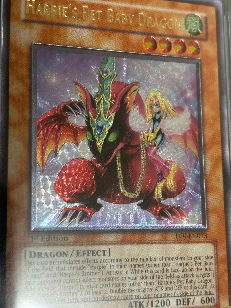 遊戯王 EU版 英語 1st ハーピィズペット仔竜 レリーフ PSA9