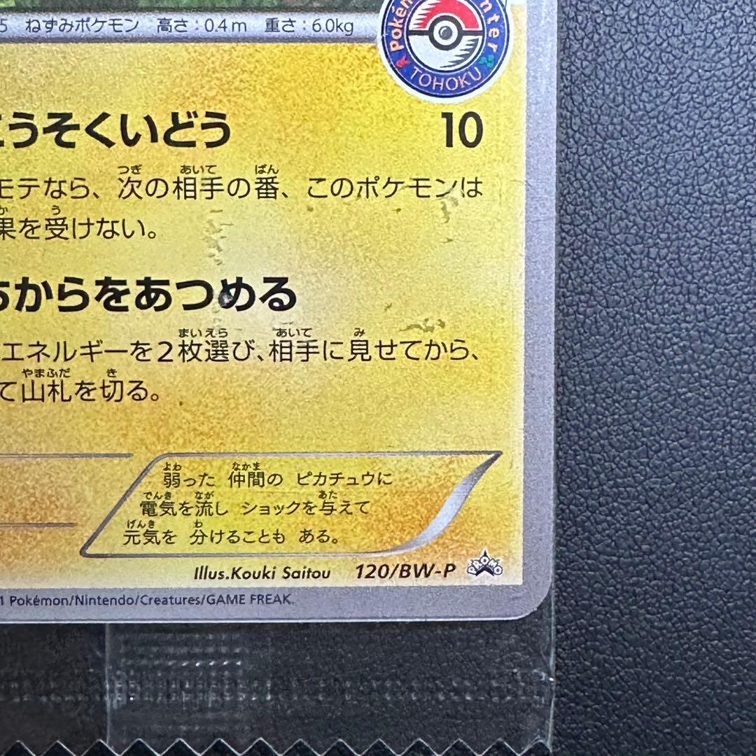 【Reika】ピカチュウ こうそくいどう　トウホクPROMO