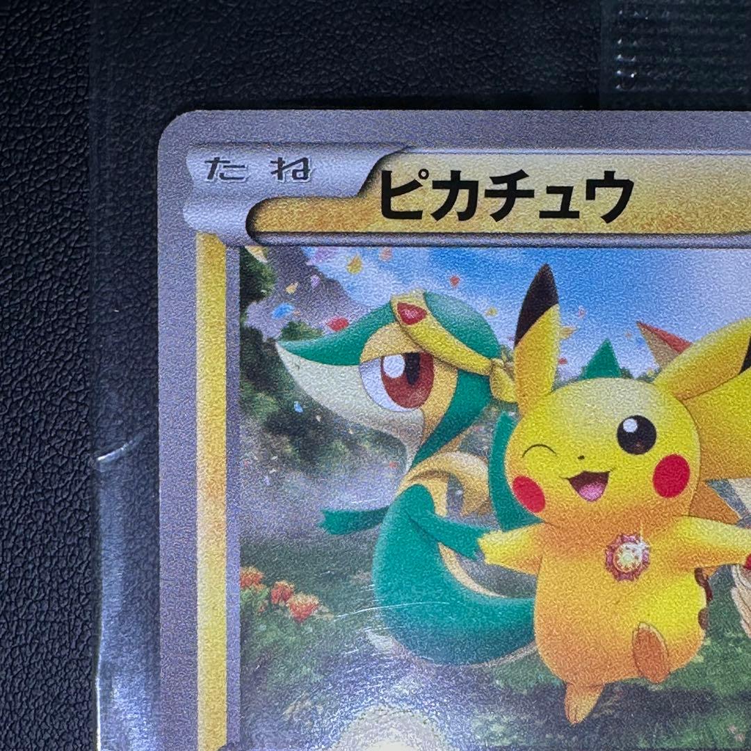 【Reika】ピカチュウ こうそくいどう　トウホクPROMO