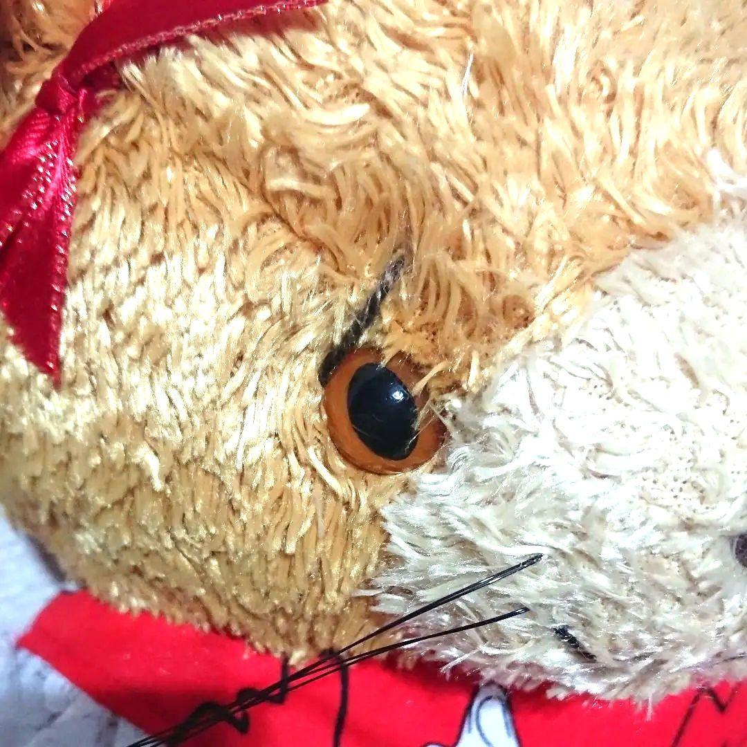 ビバリーホワイトさん ねこのぬいぐるみ