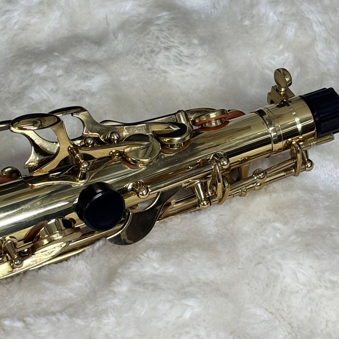 ✨美品✨Selva アルトサックス ハードケース付き 初心者〜練習用に◎