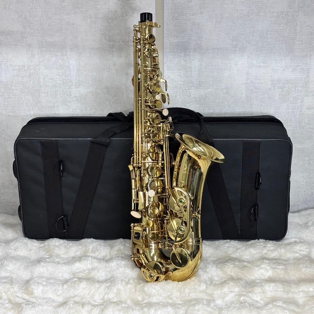 ✨美品✨Selva アルトサックス ハードケース付き 初心者〜練習用に◎