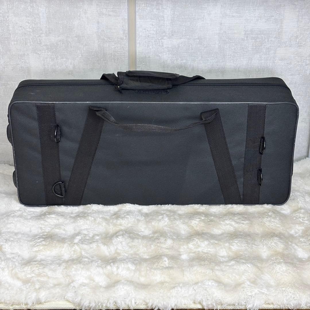 ✨美品✨Selva アルトサックス ハードケース付き 初心者〜練習用に◎