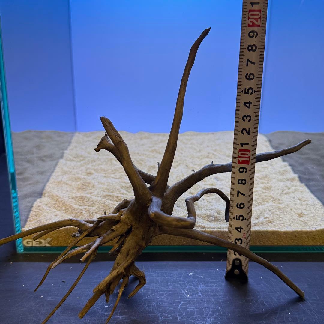 MDW-7219 ブランチウッド(ブラック)2本セット 枝流木 アクアリウム