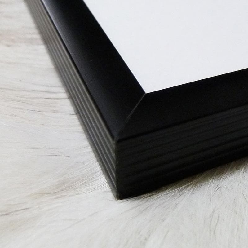 額装済/Asleep on/フェルディナンド シアナ