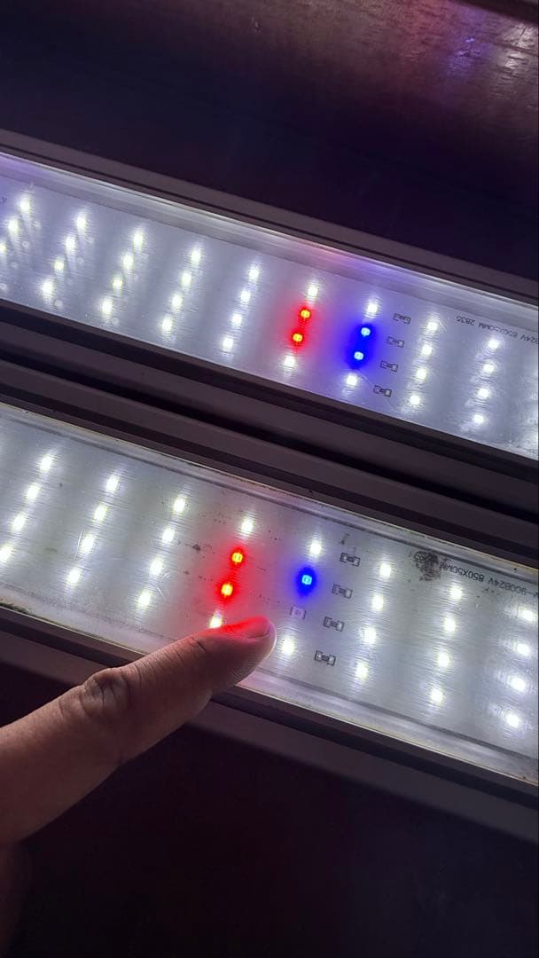 NISSO LED水槽用ライト 90cm スーパークリアLED900/2個セット