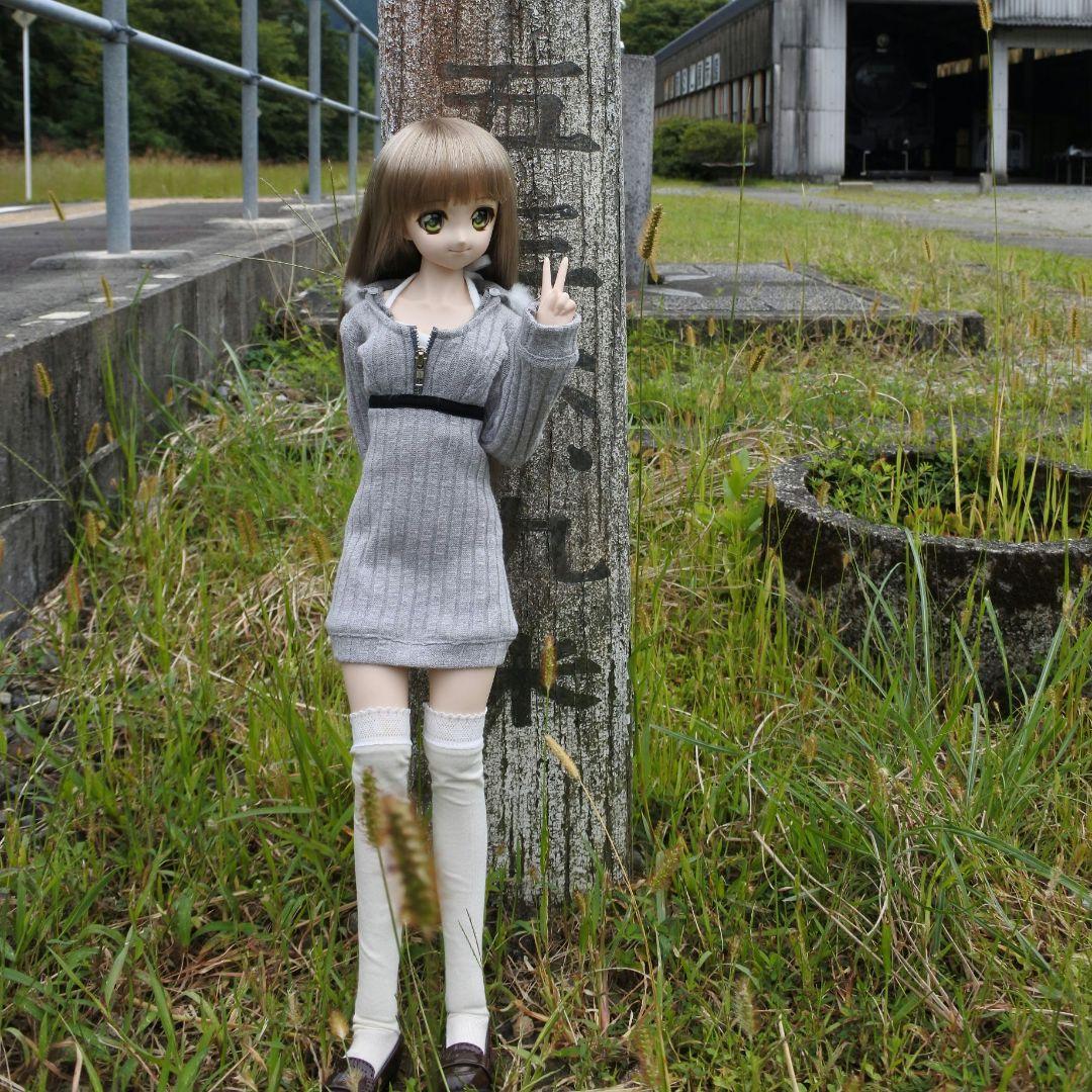 ドルフィードリーム　ドール　＋衣装20点以上、お出かけバッグ他