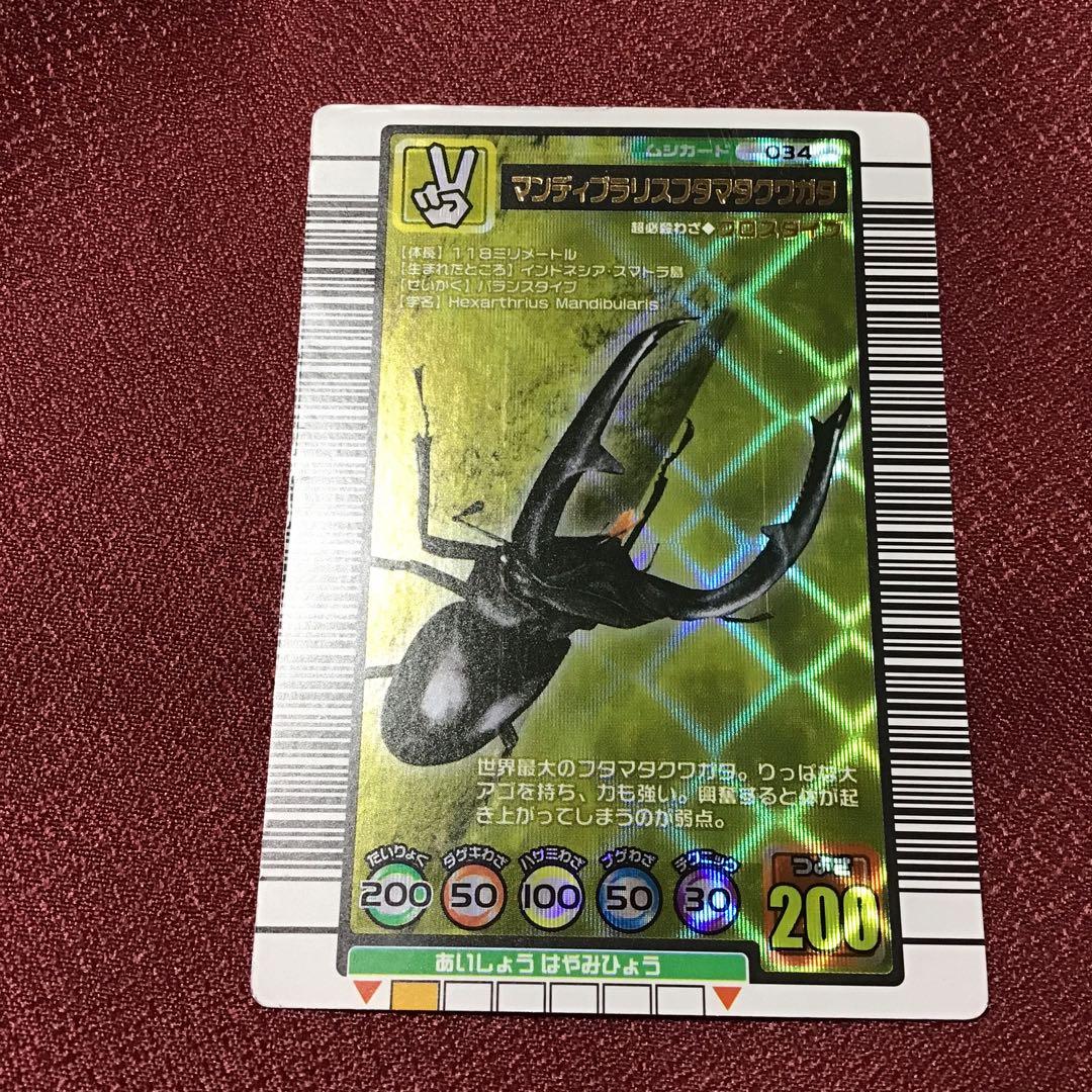 ムシキング マンティブラリスフタマクワガタ タランドゥスツヤクワガタ