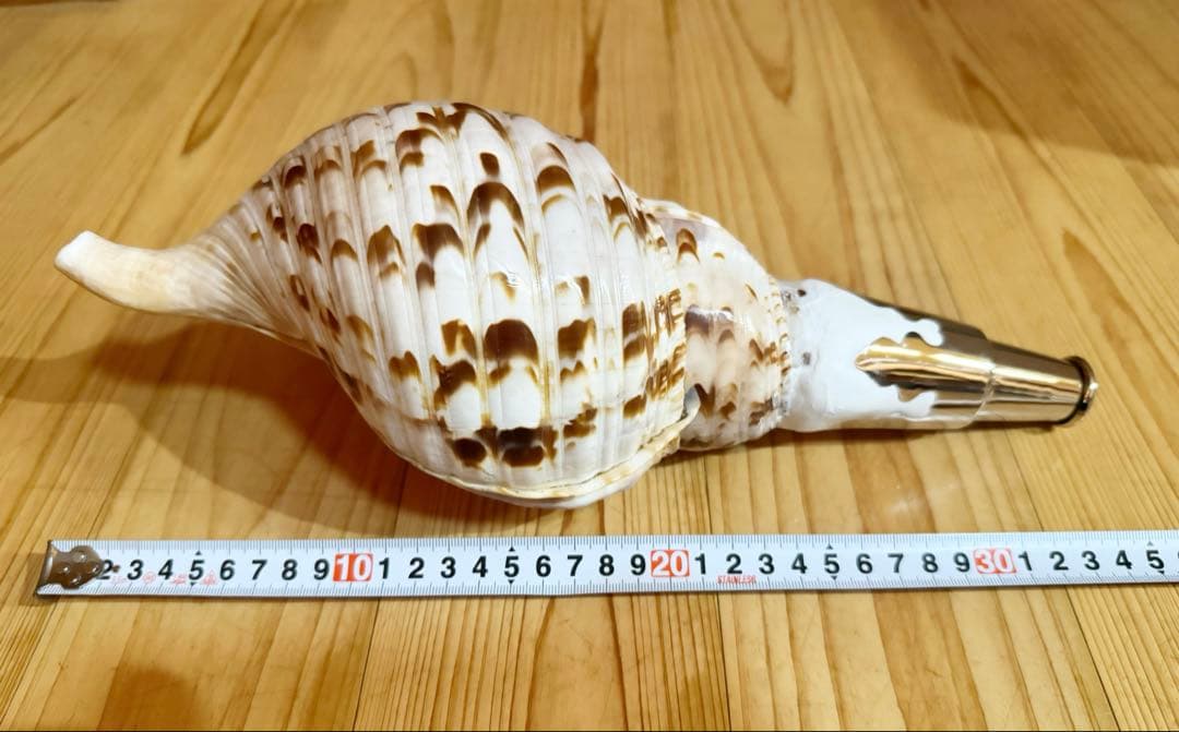 クリスマスセール❗️修験道法螺貝34㎝ 山伏 熊よけ 魔除け❣️ホラガイ