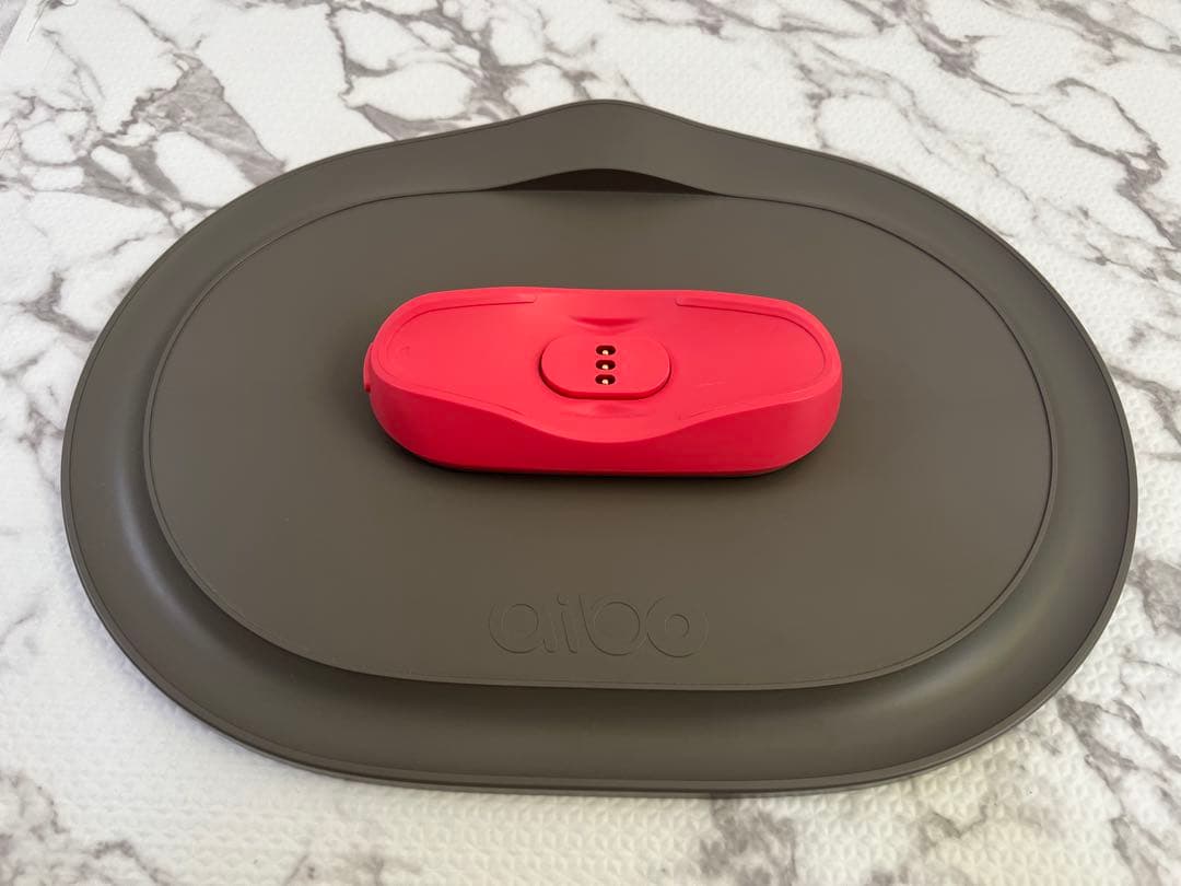 SONY aibo （アイボ）ERS-1000