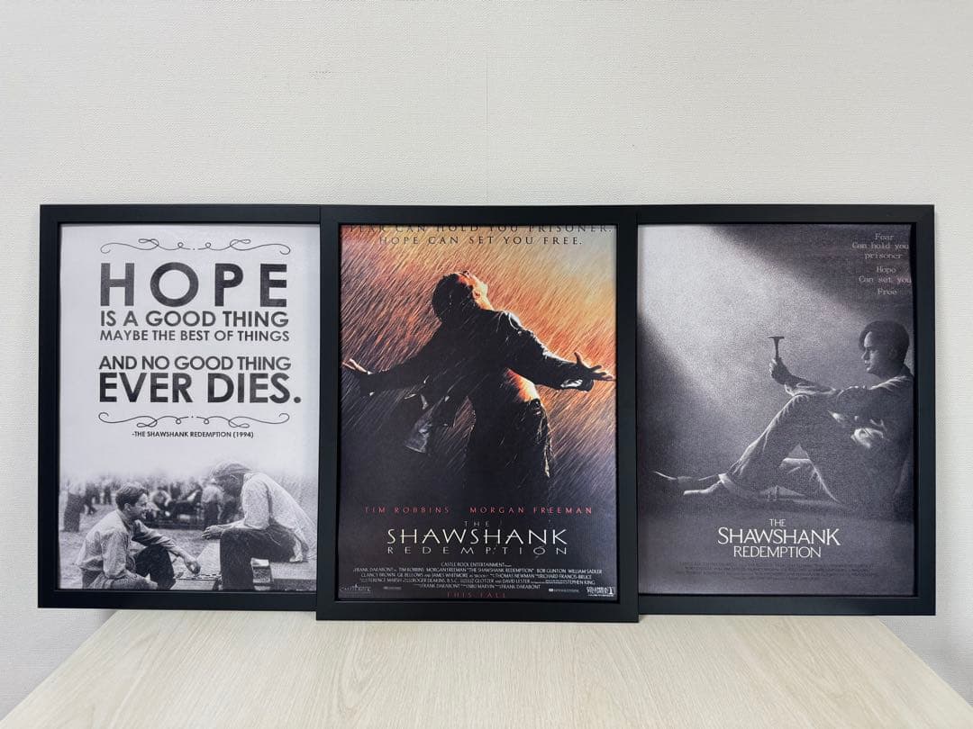 No.289フレーム付きキャンバスアート　ショーシャンクの空に　映画ポスター