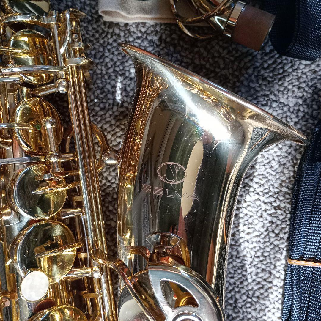 Selvaゴールドサックス 本体　【初心者用】ケース付き