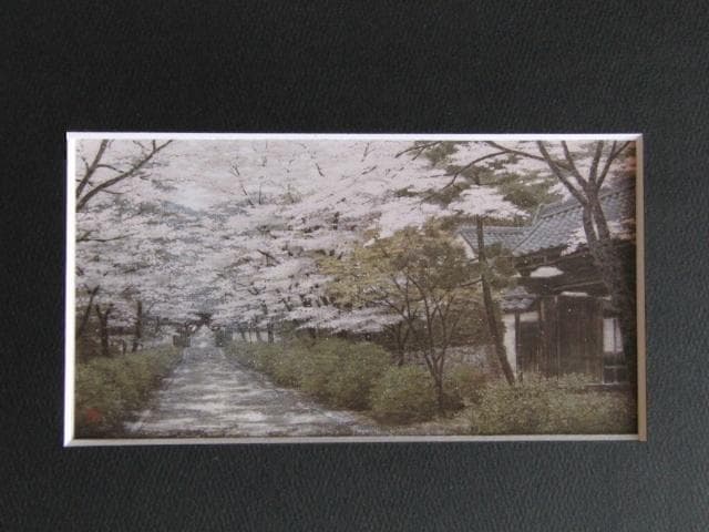 澁澤卿、【花盛参道】、希少な額装用画集より、新品額装付、状態良好