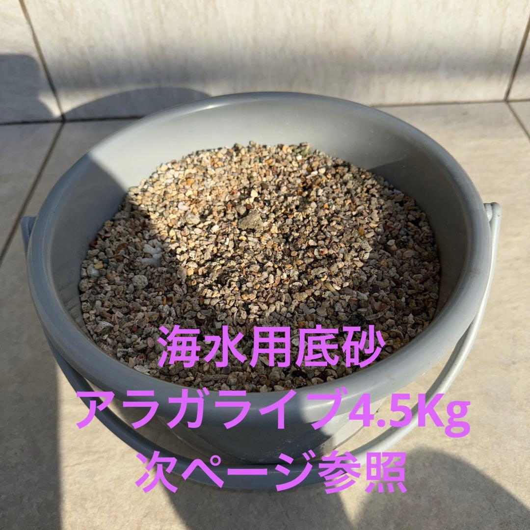 【値下げ】ガラス水槽 SET※ ゆとさん専用