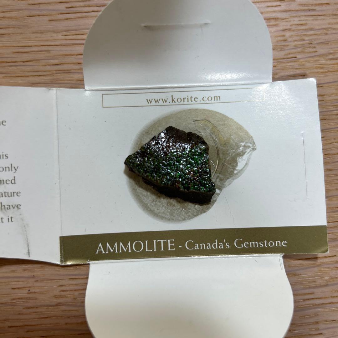 KORITE  アンモライト原石片 KORITE アンモライト原石片 小売業者 KORITE アンモライト原石片