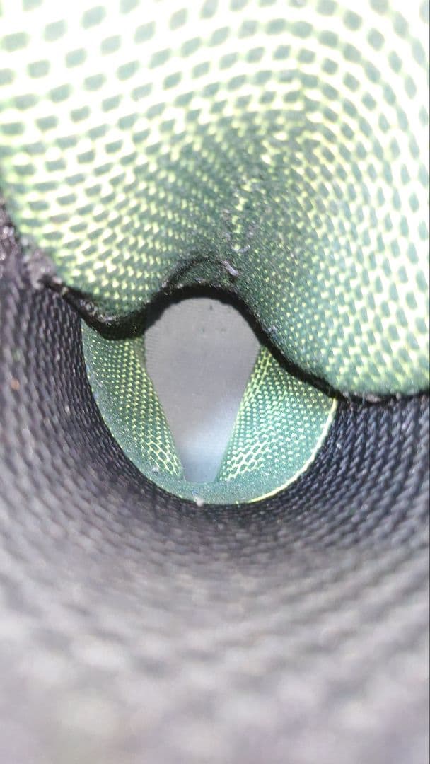 BURTON ION-ASIAN FIT 26 スノーボードブーツ