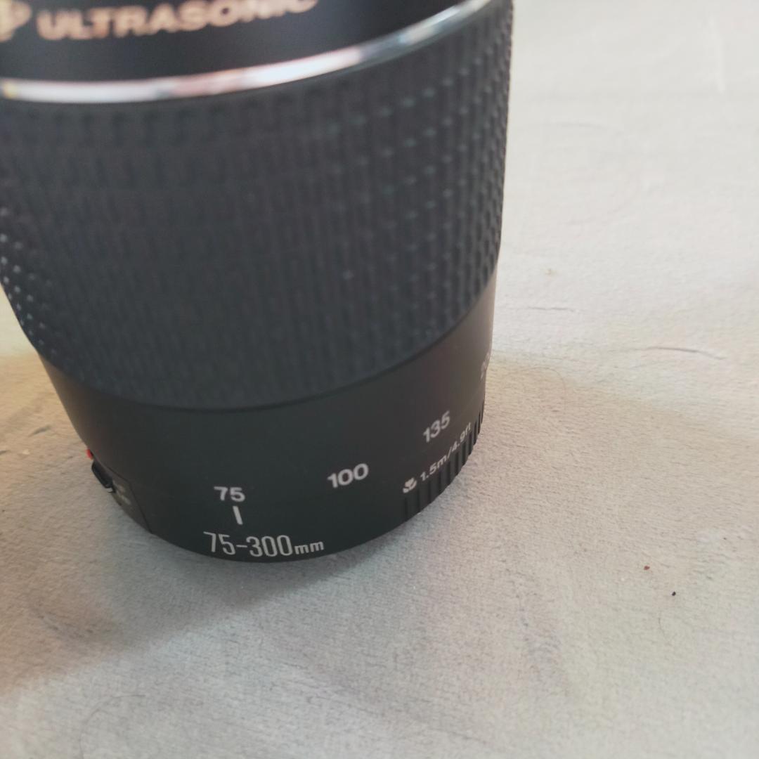 ジャンク canon キャノン レンズセット EF EFS