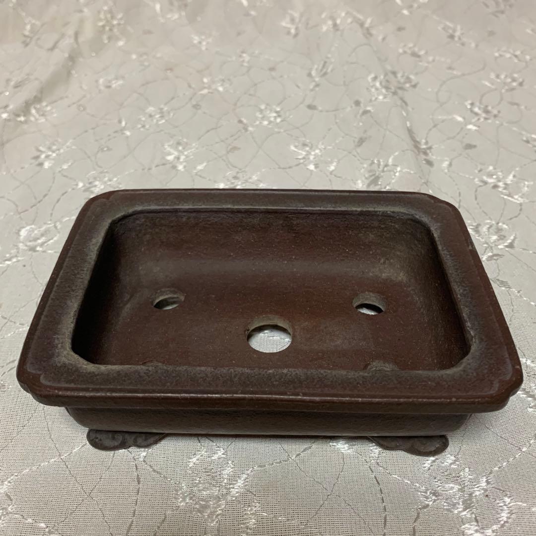 銭号 ほつれあり 訳あり 盆栽鉢