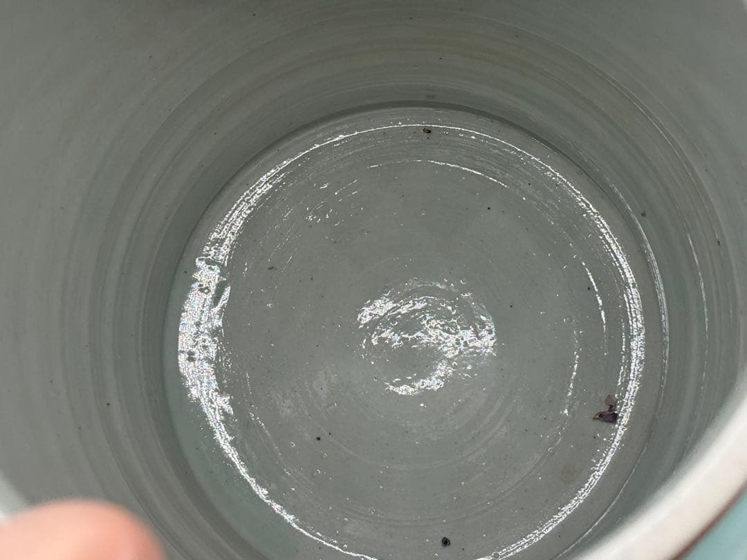 中国 清時代 粉彩 獅子摘み 花鳥紋大壺 送料込み251224