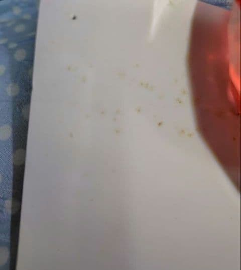 ミスチル　It's a wonderful world　ポスター　特大