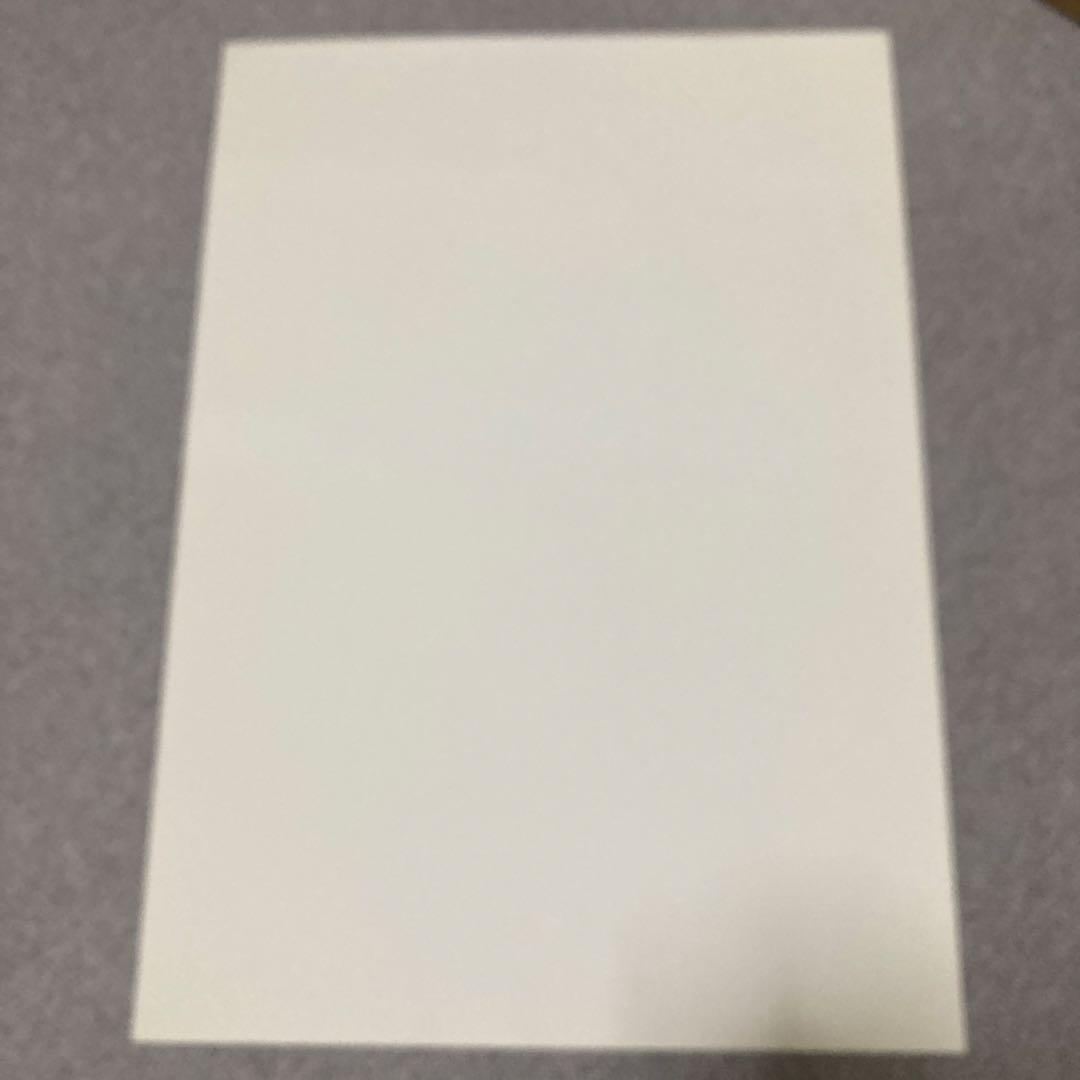 井川遥　BODY WILD FIT BOXER ポスター　美品　グンゼ 黒　２