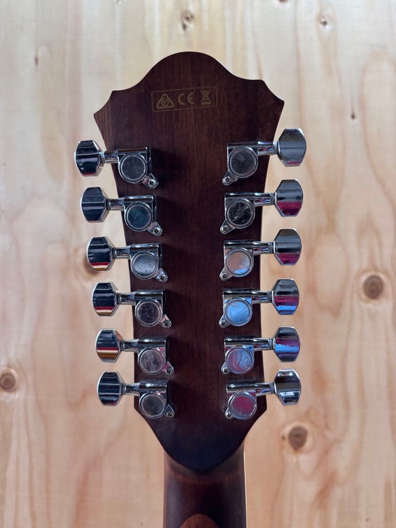 Ibanez オールマホガニー トップ単板12弦 エレアコ 純正ギグケース付