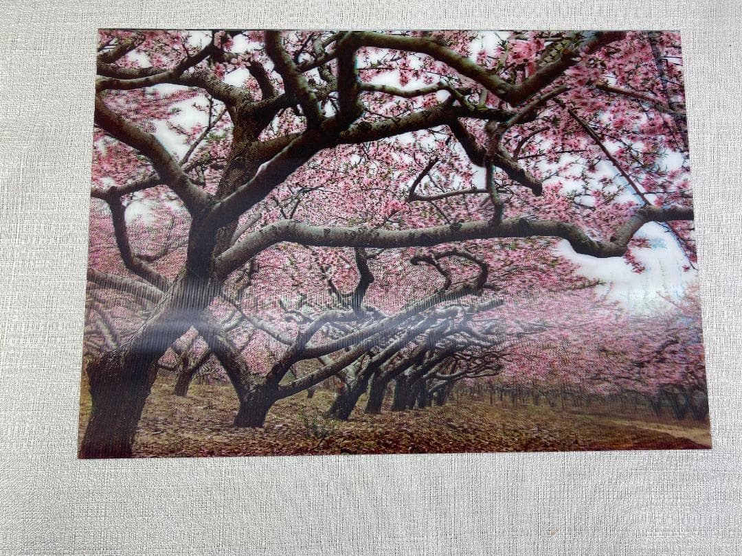 立体アート3点 額縁1点 虎 山の風景 桜風景 cc746 虎 アート