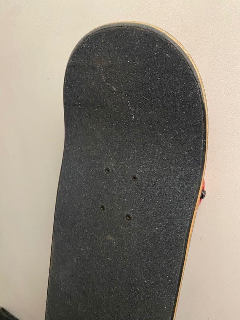 む*様 Santa Cruz スケートボード コンプリート スケボー サンタクル